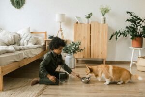 Child feeding a Corgi water in a cozy bedroom with plants and natural decor.